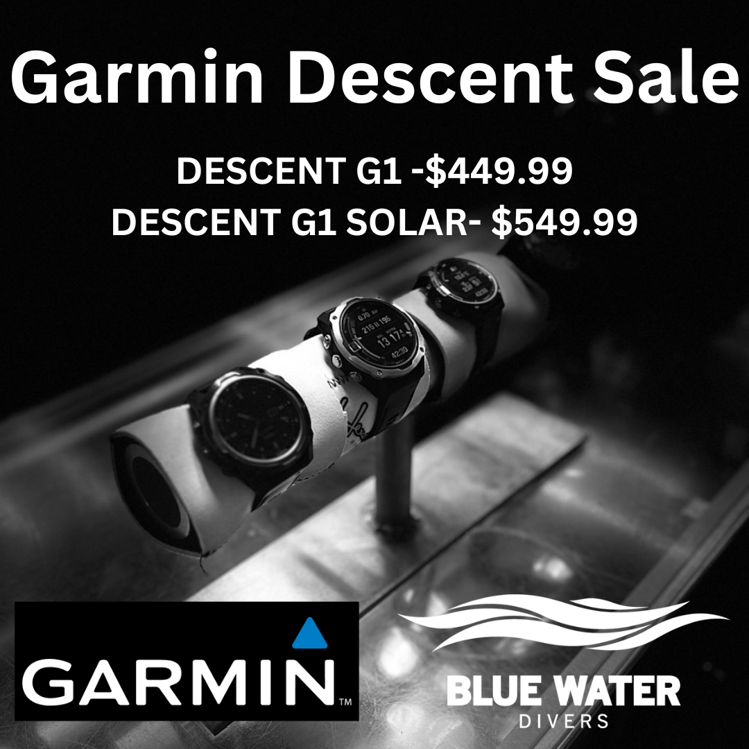 Garmin promo 2024